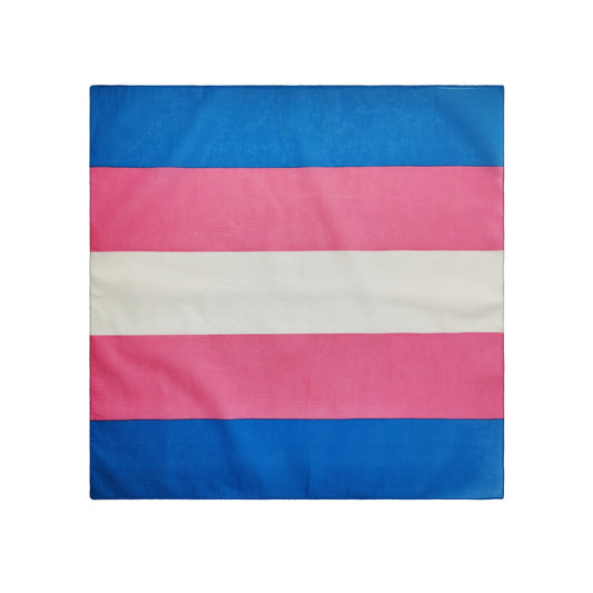 LGBT Rainbow Pride Parade Bandana Scarf