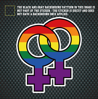 LGBT Unicorns Rainbow Pride Lesbian Symbol Car Sticker