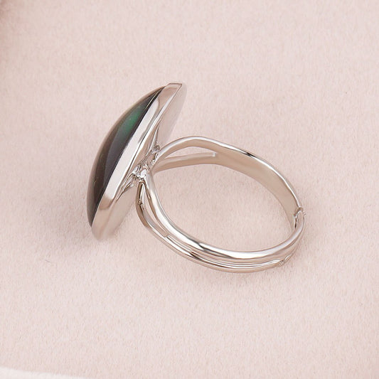 LGBT Aromantic Bisexual Lesbian Pride Transgender Pansexual Non-Binary Genderfluid Agender Adjustable Ring