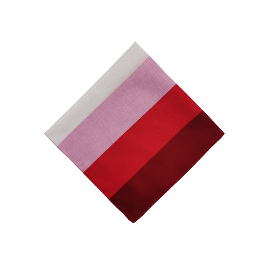 LGBT Rainbow Pride Parade Bandana Scarf