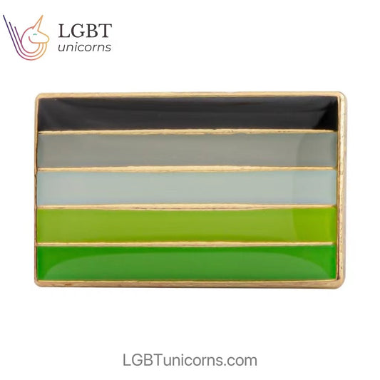 LGBT Pride Badge Aromantic Pride Flag Pin Brooch ASAW